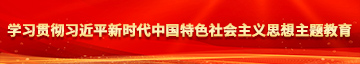 农村老人肏屄大黄片学习贯彻习近平新时代中国特色社会主义思想主题教育